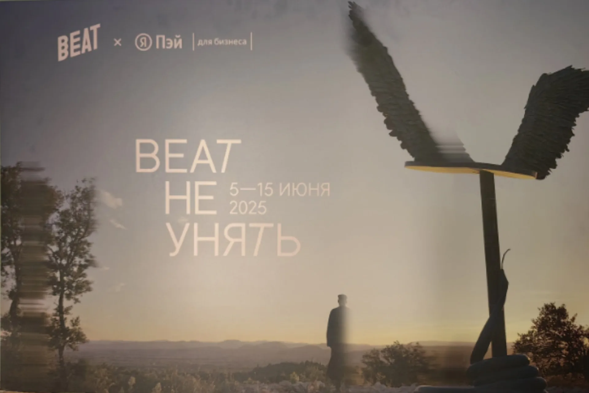 Интернет и Wi-Fi для фестиваля