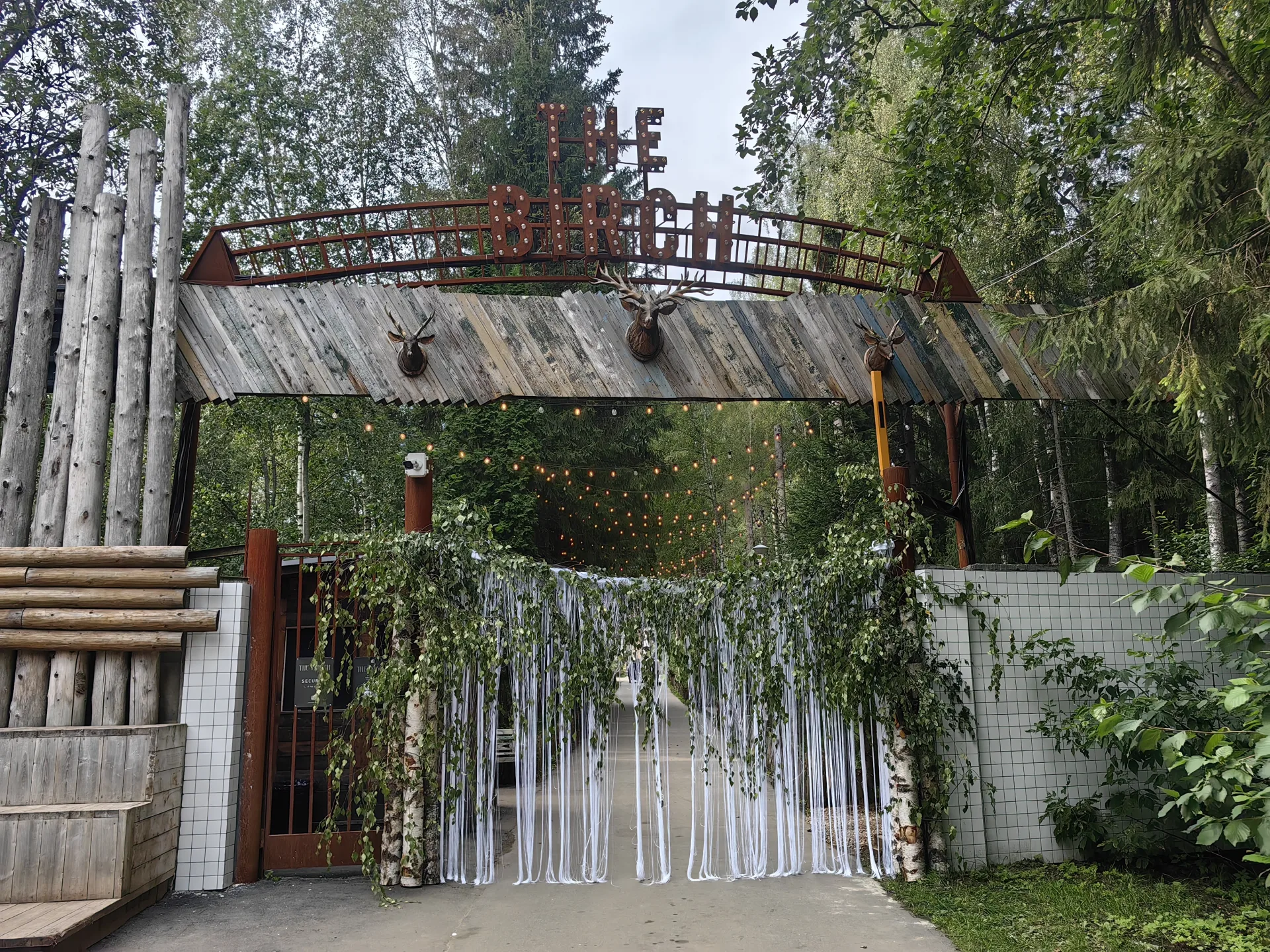 The Birch интернет